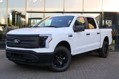 Ford F 150 LIGHTNING PRO uit 2026