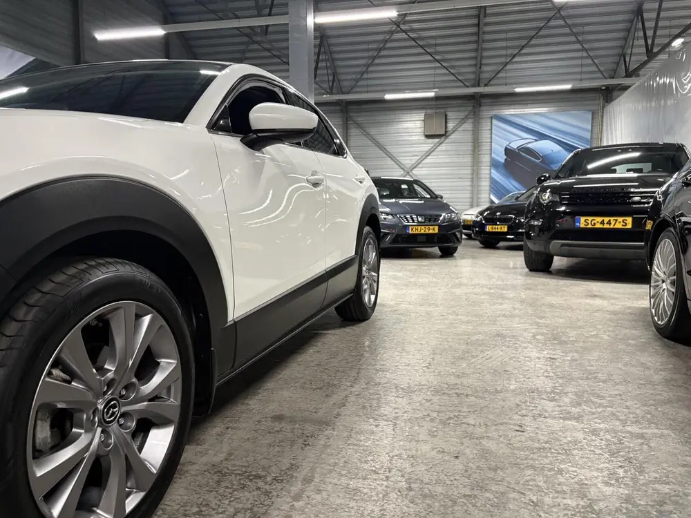 Mazda CX-30 2.0 e-SkyActiv-X M Hybrid Luxury 180pk uit 2019, foto 10