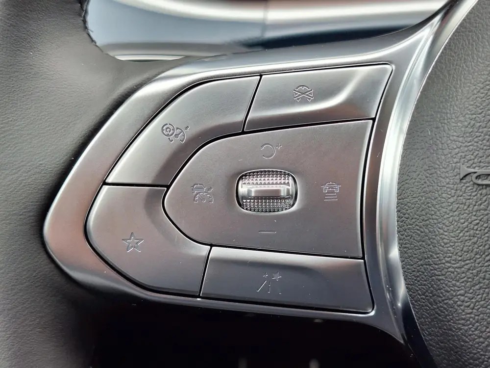 Voyah Free Business Edition 4WD 106 kWh | Schuifdak | Luchtv uit 2026, foto 12