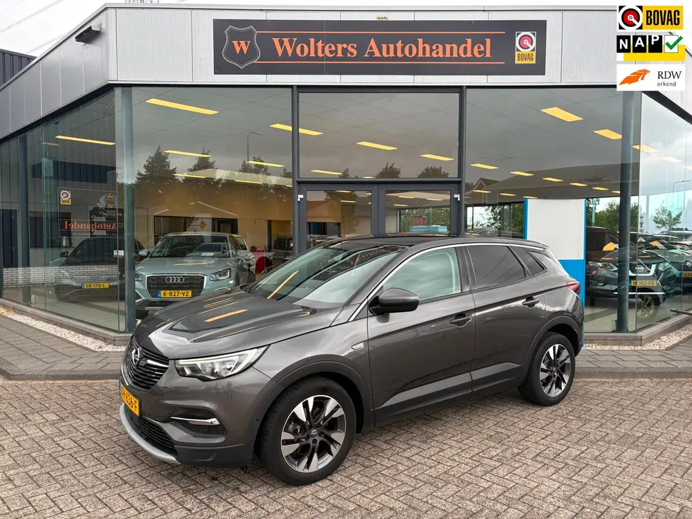 Opel Grandland X 1.2 Turbo Business Executive uit 2019