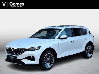 Voyah Free Limited Edition Business 4WD 106 kWh | Schuifdak uit 2026
