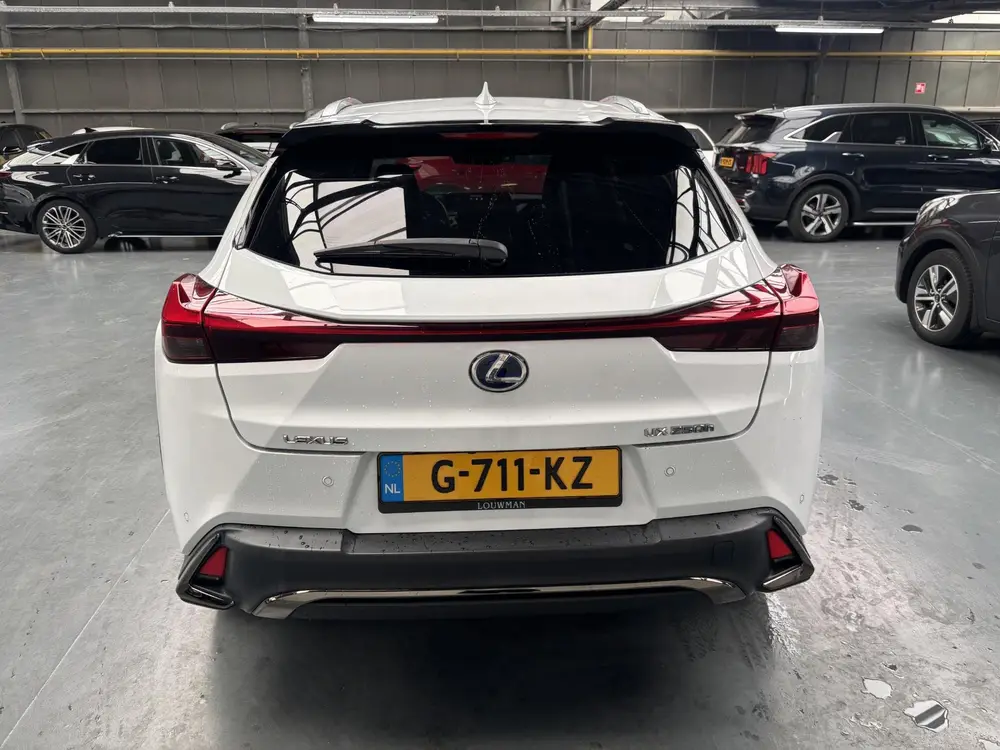 Lexus UX 250h F Sport Line uit 2019, foto 20
