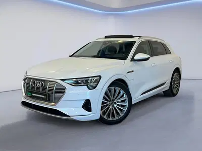 Audi e-tron 55 quattro Business edition Plus 95 kWh uit 2021