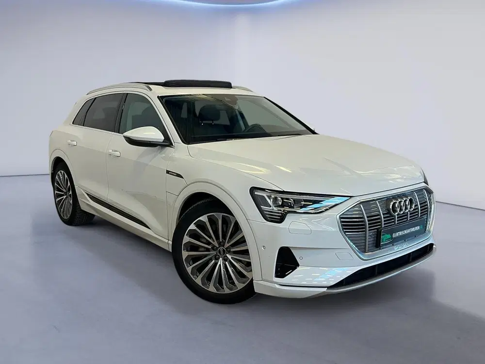 Audi e-tron 55 quattro Business edition Plus 95 kWh uit 2021, foto 3