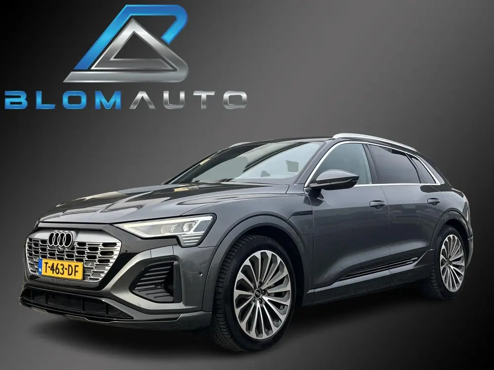 Audi Q8 e-tron 55 QUATTRO S-LINE 115 kWh 408PK ACC+MEMORY uit 2023