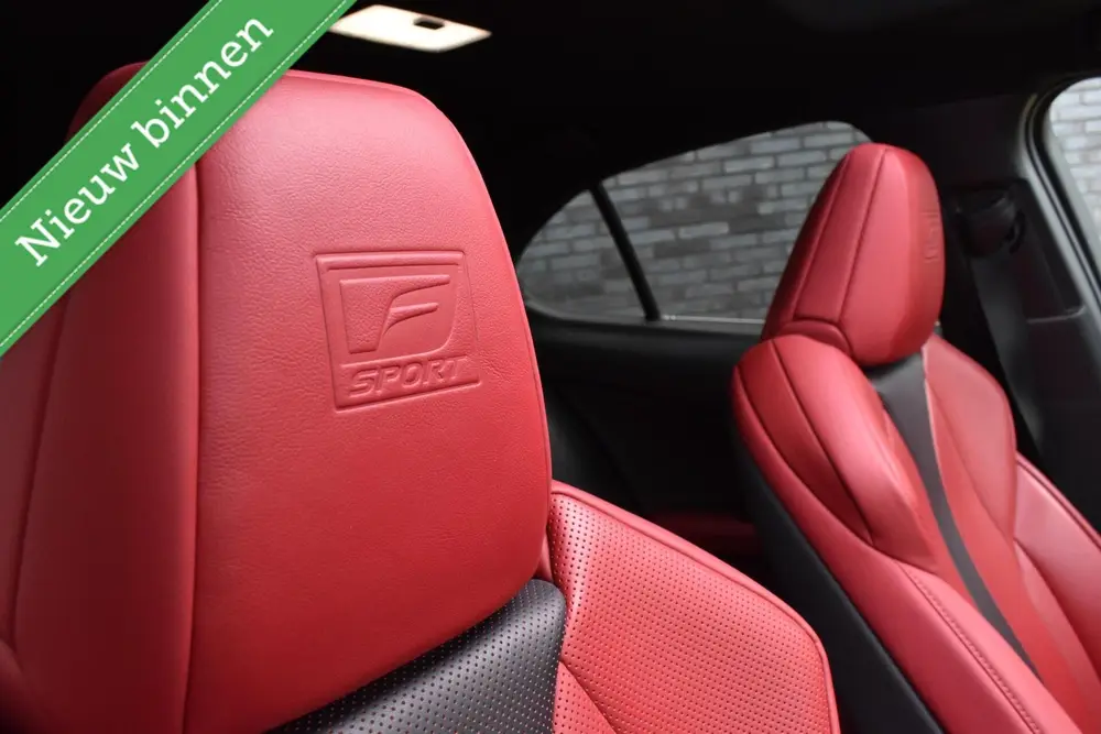 Lexus UX 250h F Sport PANORAMADAK/HEAD UP/LEDER/ETC.! uit 2020, foto 6
