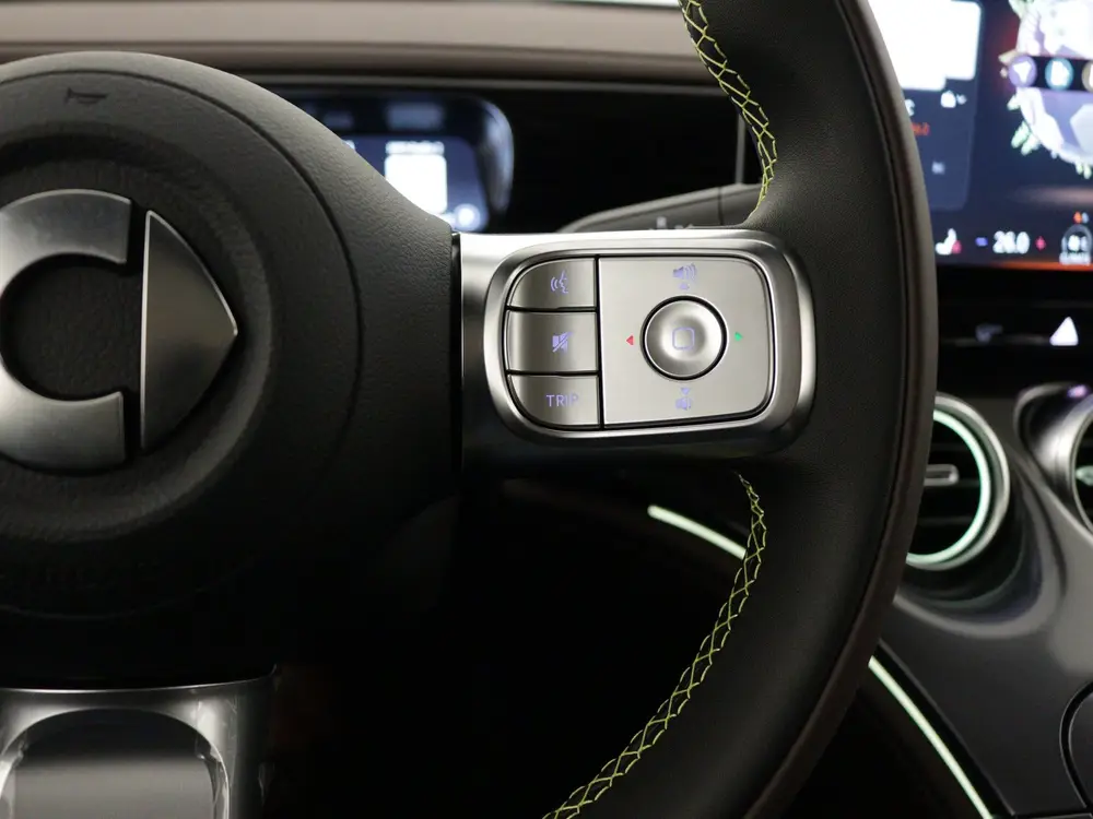 Smart #3 Premium 66 kWh uit 2026, foto 19