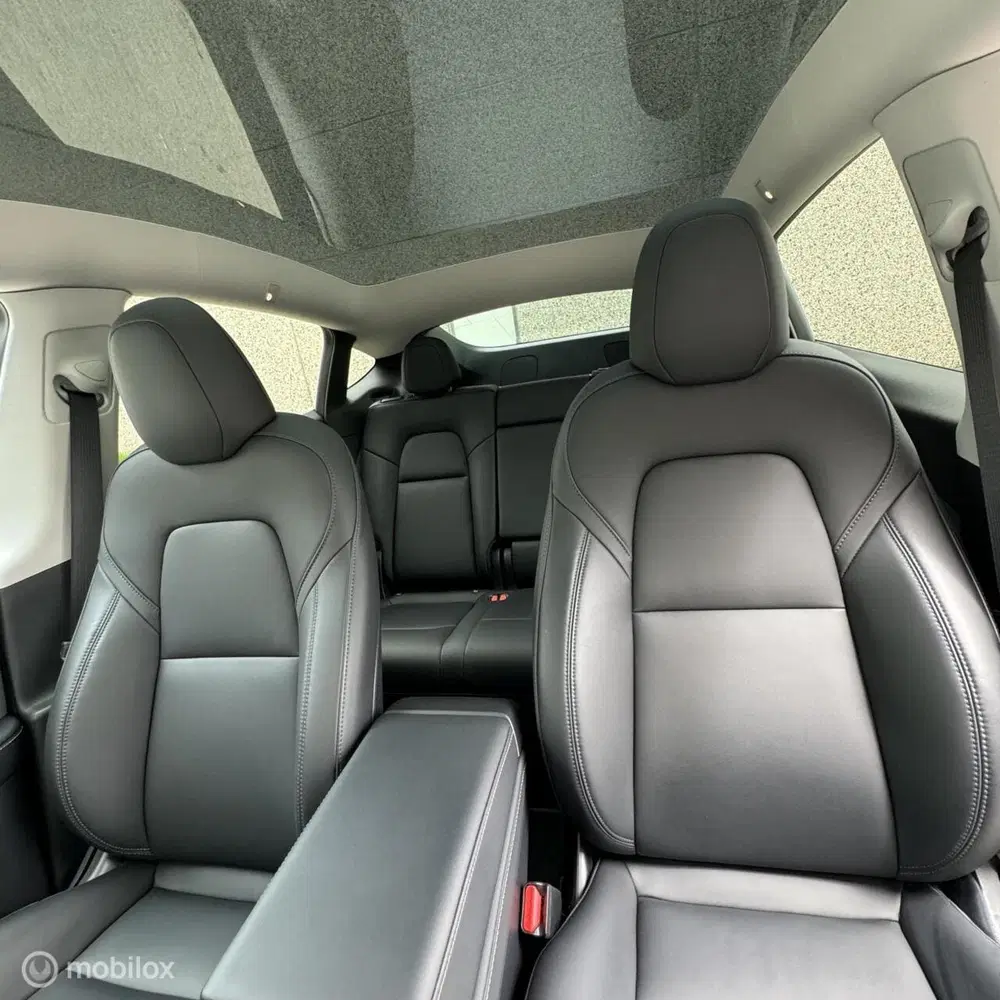 Tesla Model Y Long Range AWD + MMX PACK + IAP uit 2023, foto 9