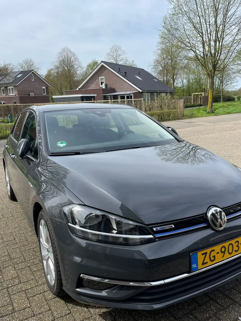 Volkswagen Golf VII Golf 1.5 TSI 130pk 7-DSG Bluemotion 2019 Grijs uit 2019, foto 5