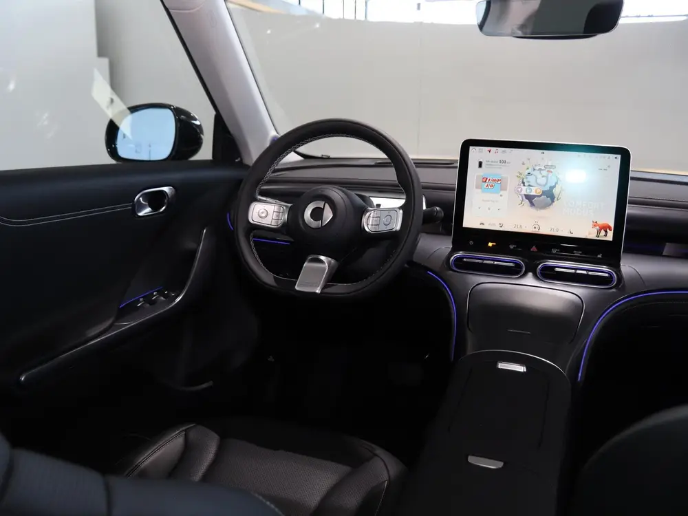 Smart #1 Premium 66 kWh uit 2026, foto 11