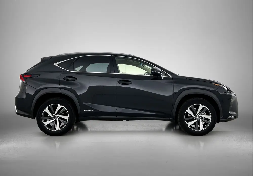 Lexus NX 300h AWD President Line | Stoelkoeling | Stoelverwa uit 2019, foto 12