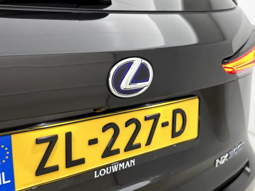 Lexus NX 300h AWD President Line | Stoelkoeling | Stoelverwa uit 2019, foto 20