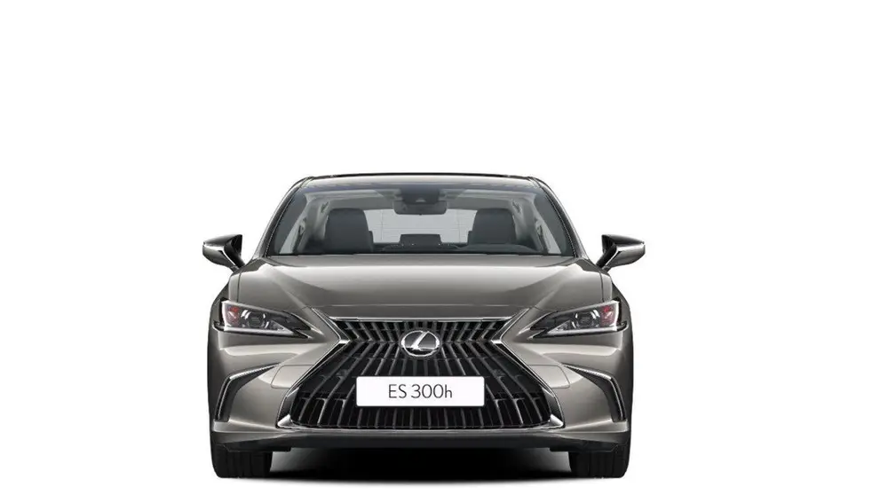 Lexus ES 300h 35th Edition uit 2025, foto 8