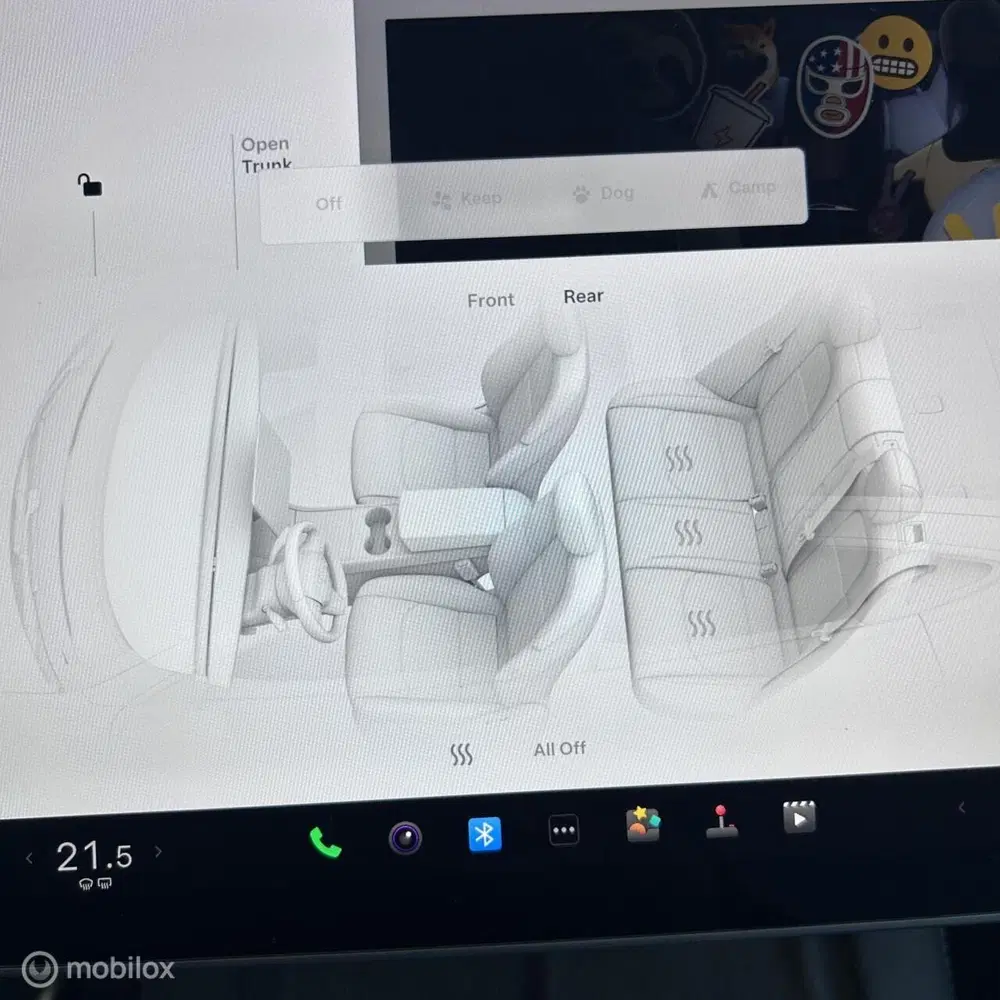 Tesla Model Y Performance + MMX PACK + IAP + 21" uit 2023, foto 16