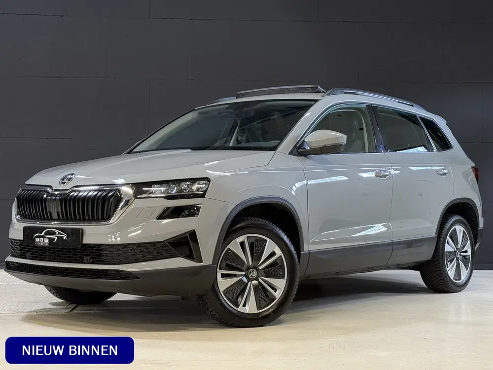 Skoda Karoq 1.5 TSI ACT Business Edition Plus uit 2023