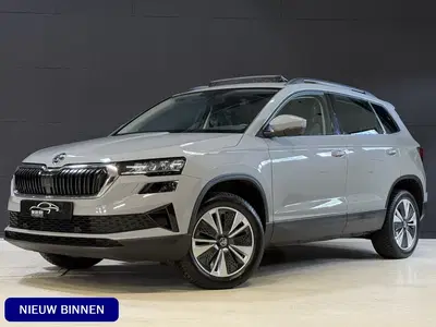 Skoda Karoq 1.5 TSI ACT Business Edition Plus uit 2023