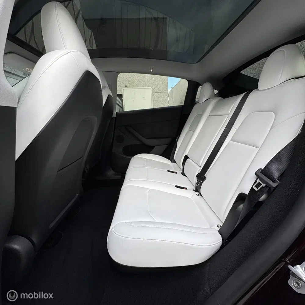 Tesla Model Y Long Range AWD + MMX PACK + IAP +TREKHAAK uit 2023, foto 10