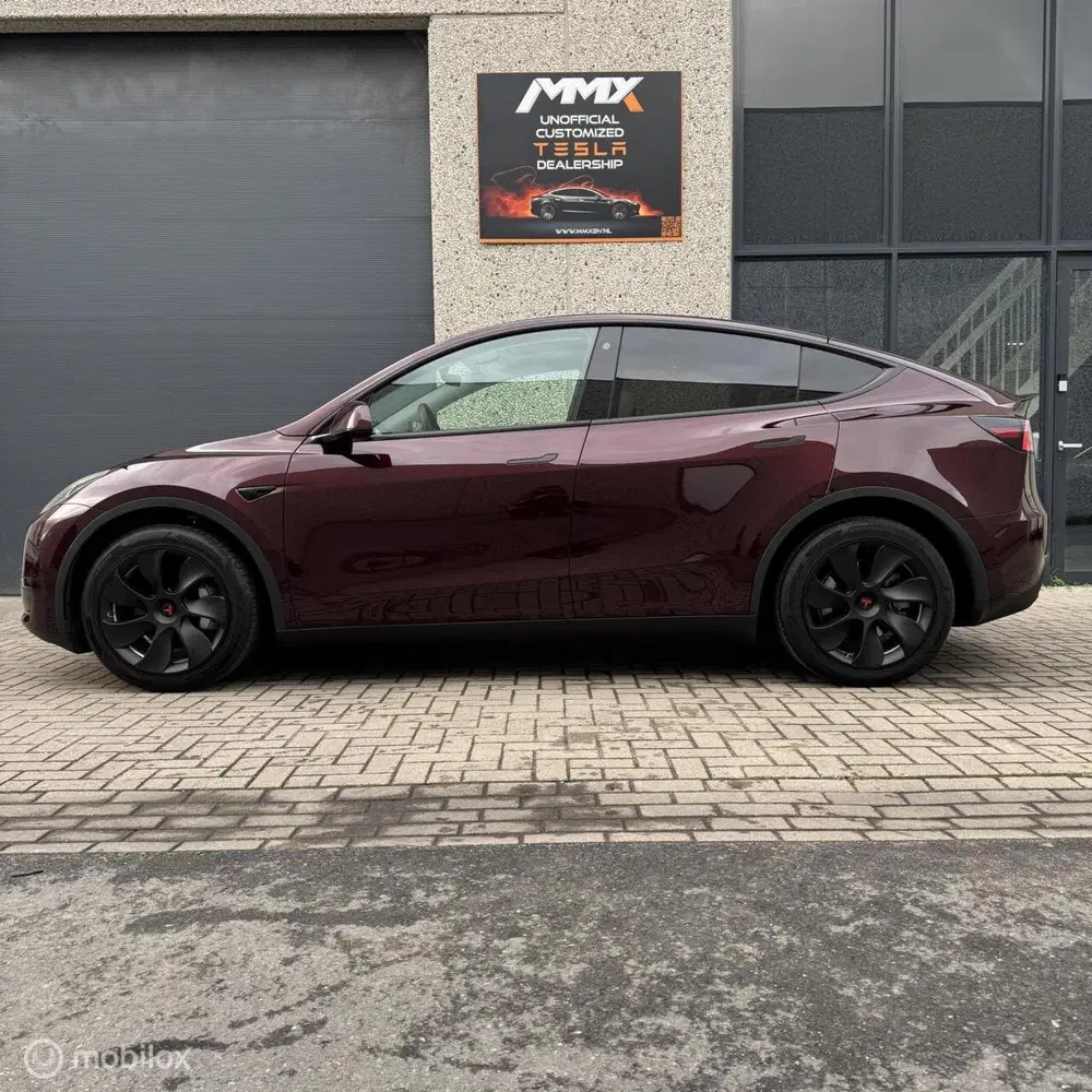 Tesla Model Y Long Range AWD + MMX PACK + IAP +TREKHAAK uit 2023, foto 6