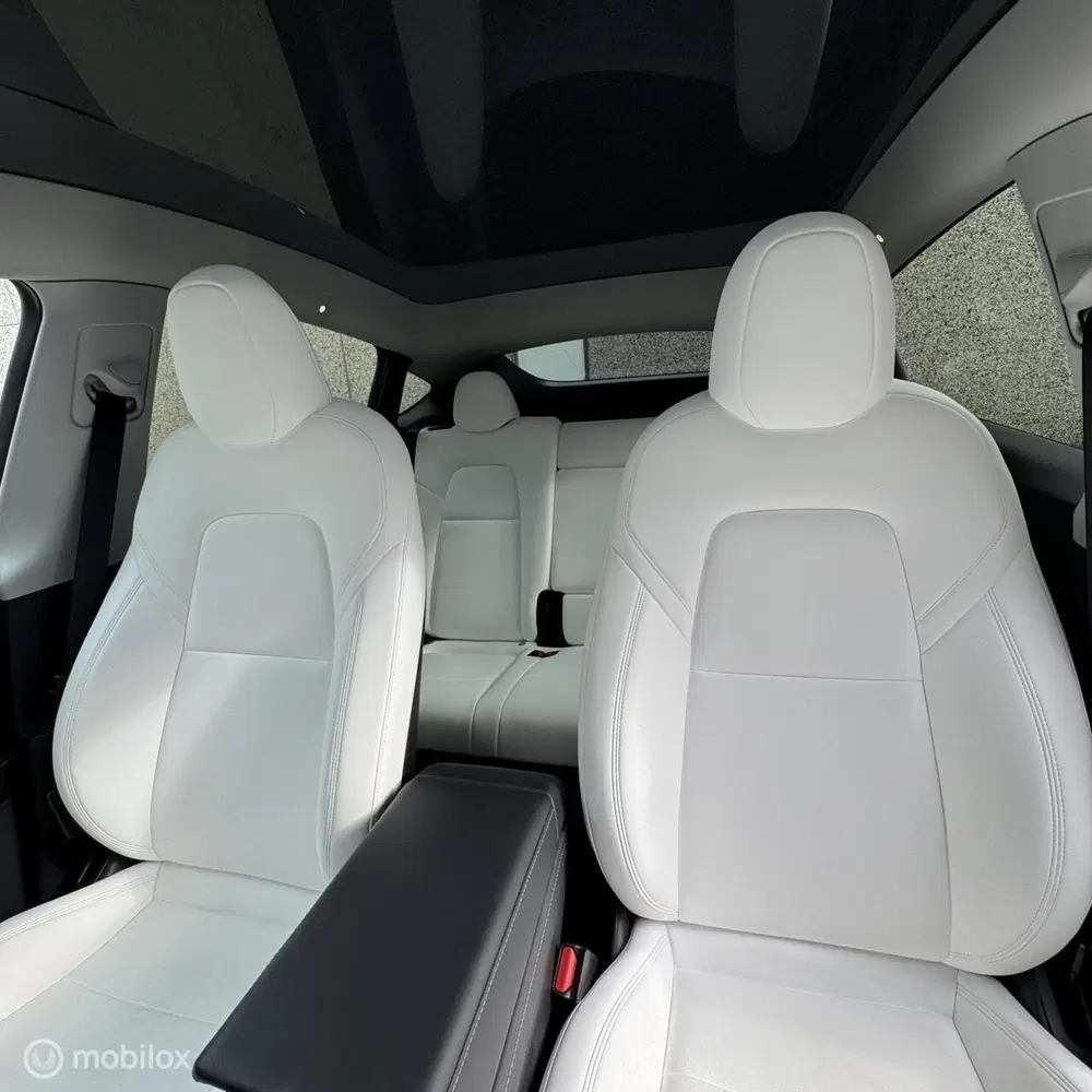 Tesla Model Y Long Range AWD + MMX PACK + IAP +TREKHAAK uit 2023, foto 9
