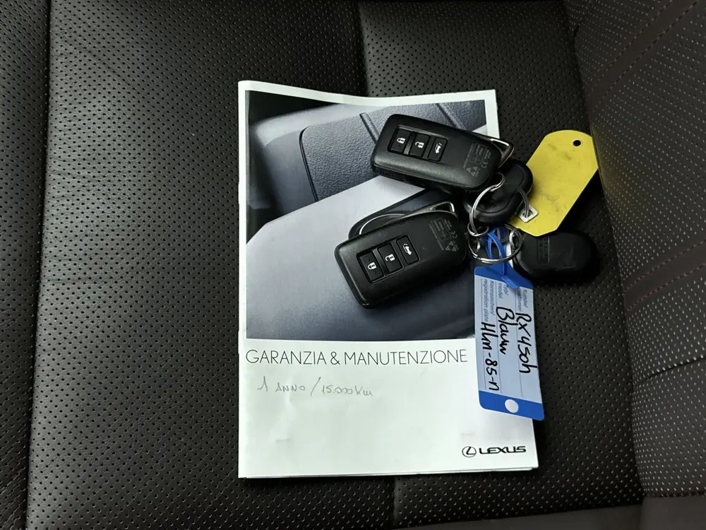Lexus RX 450h 4WD Luxury Line Limited | BTW | Stoelgeheugen uit 2019, foto 13