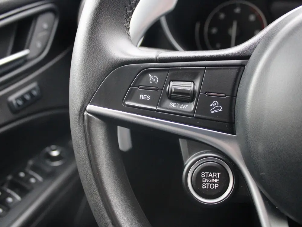 Alfa Romeo Stelvio 2.2d Super | STOELVERWARMING | LEDEREN BE uit 2019, foto 18