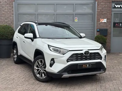 Toyota RAV4 2.0 VVT-iE Executive Trekhaak. (bj 2019) uit 2019