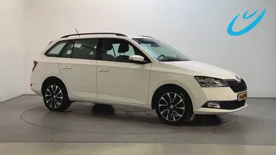 Skoda Fabia 1.0 TSI Business Edition App-Connect Parke uit 2020