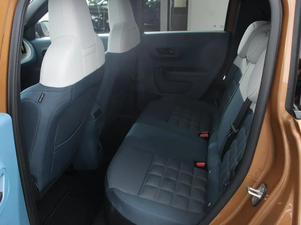 Fiat Grande Panda La Prima 7.4 kW 44 kWh Cruise control Crui uit 2025, foto 14