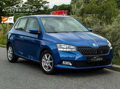 Skoda Fabia 1.0 TSI Ambition CARPLAY uit 2021