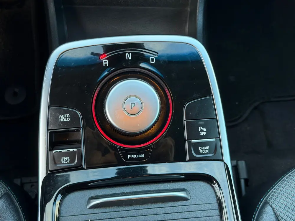 Kia Niro DynamicLine 64 kWh uit 2019, foto 17