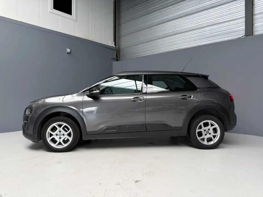 Citroën C4 Cactus 1.2 PureTech Feel GARANTIE uit 2019, foto 6