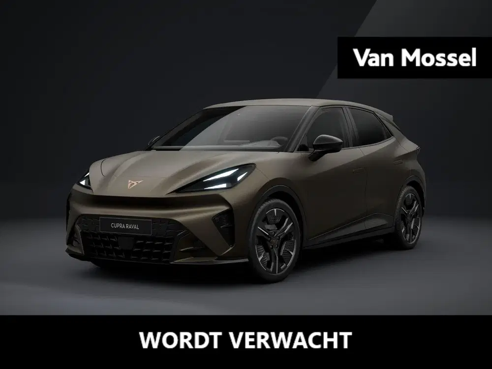 Cupra Raval Performance 39 kWh 135 PK uit 2026