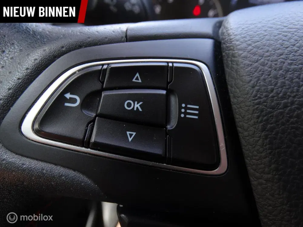 Ford EcoSport 1.0 EcoBoost ST-Line uit 2019, foto 16