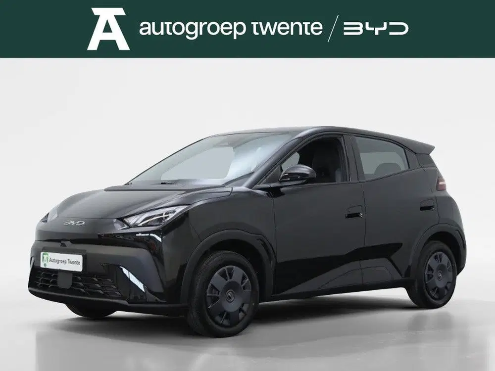 BYD Dolphin Surf Active 30 kWh uit 2026