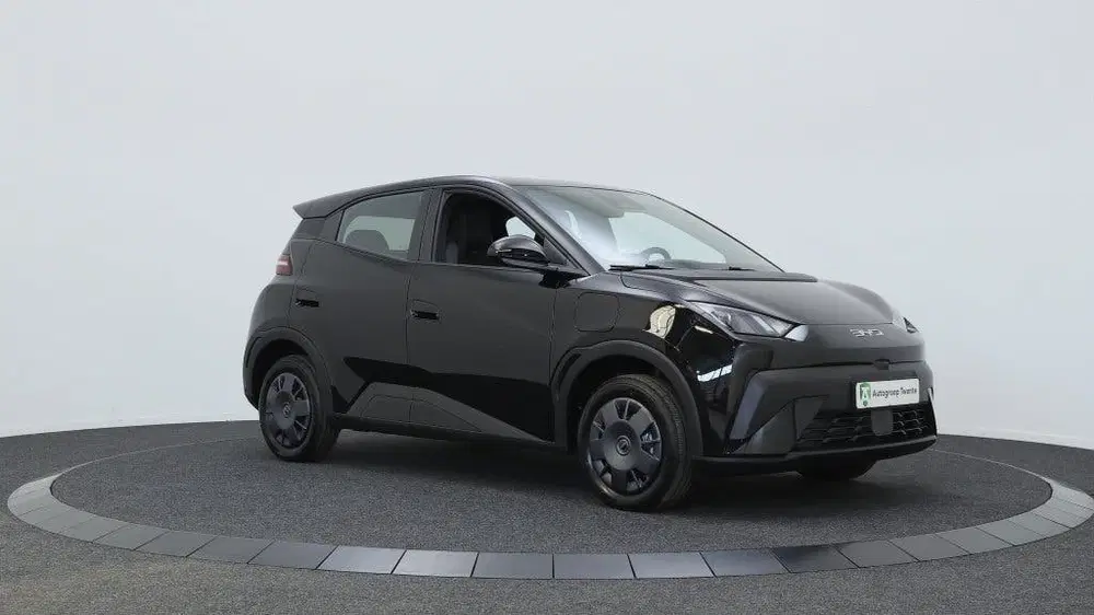 BYD Dolphin Surf Active 30 kWh uit 2026, foto 12