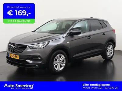 Opel Grandland X 1.2 Turbo Business + | Trekhaak | Navigatie uit 2019