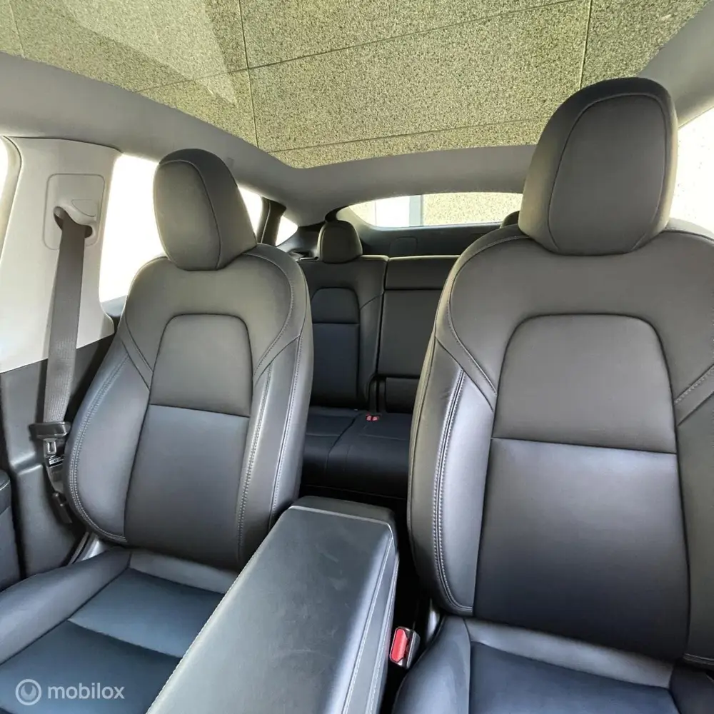 Tesla Model Y Long Range RWD + MMX PACK + IAP uit 2024, foto 9