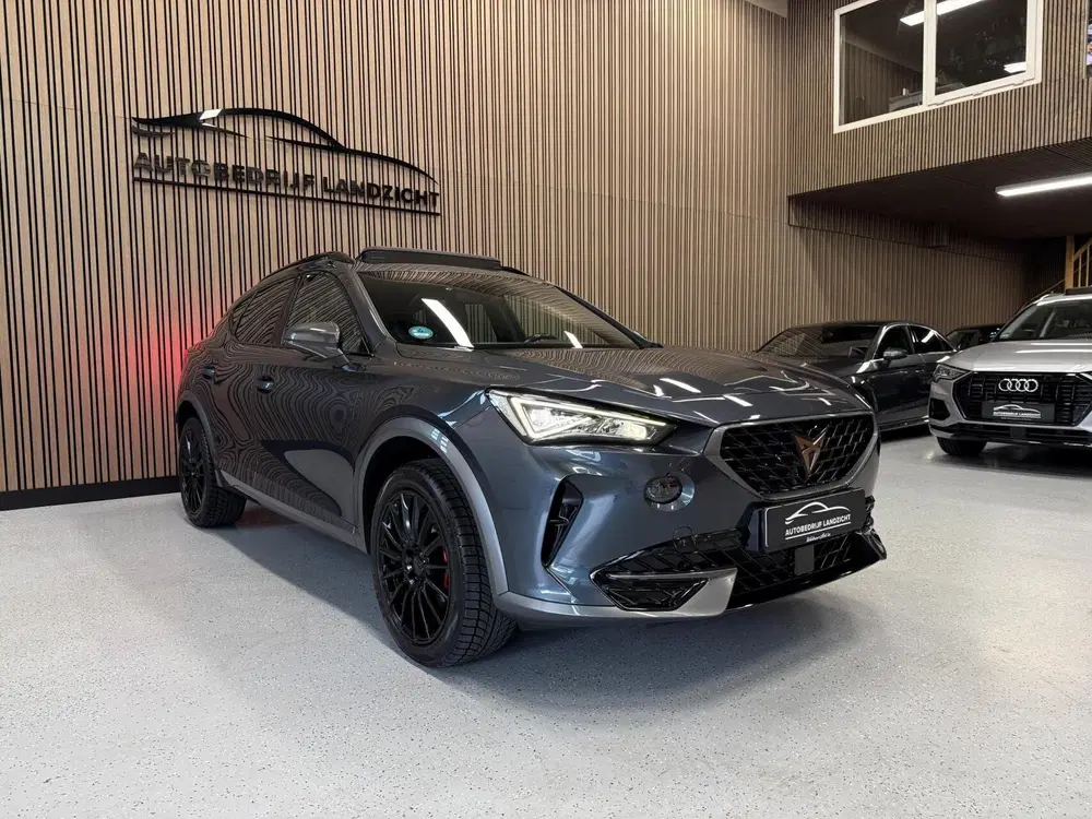 Cupra Formentor 1.5 tfsi uit 2022, foto 11
