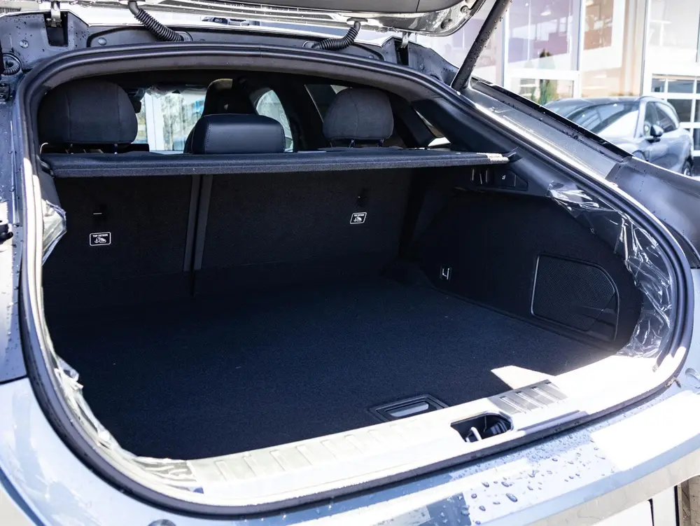 Zeekr 001 RWD Business Edition 100 kWh 620 km actieradius | uit 2026, foto 17