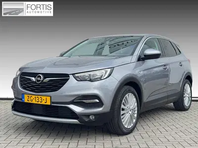 Opel Grandland X 1.2 Turbo Innovation NL-AUTO uit 2019