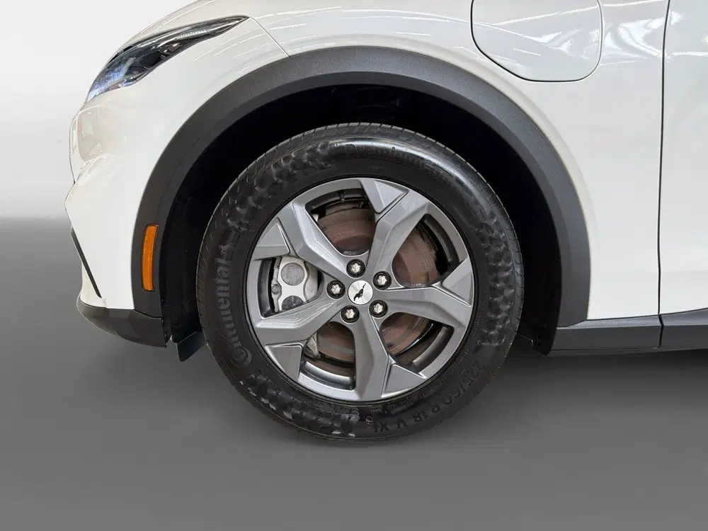 Ford Mustang Mach-E RWD 75 kWh I SOH 93 uit 2022, foto 14