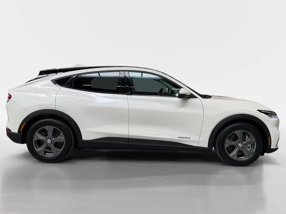 Ford Mustang Mach-E RWD 75 kWh I SOH 93 uit 2022, foto 7