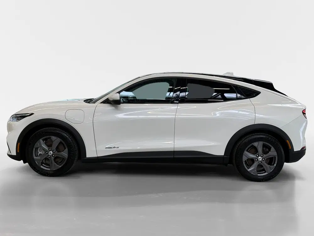 Ford Mustang Mach-E RWD 75 kWh I SOH 93 uit 2022, foto 9