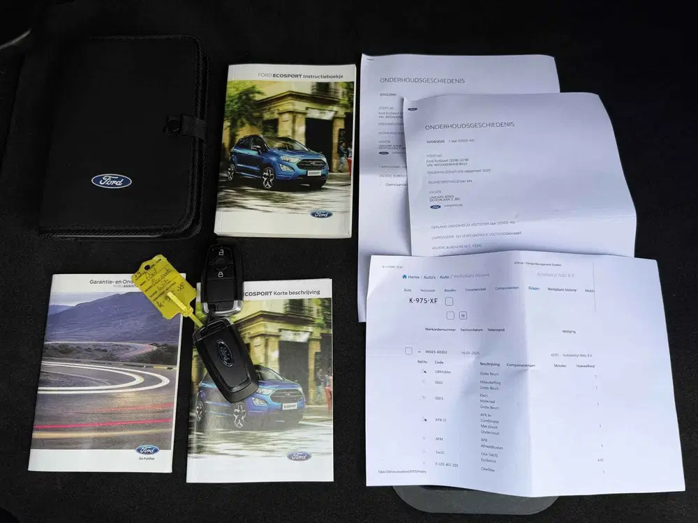 Ford EcoSport 1.0 EcoBoost ST-Line Black & White [ Pack uit 2019, foto 19