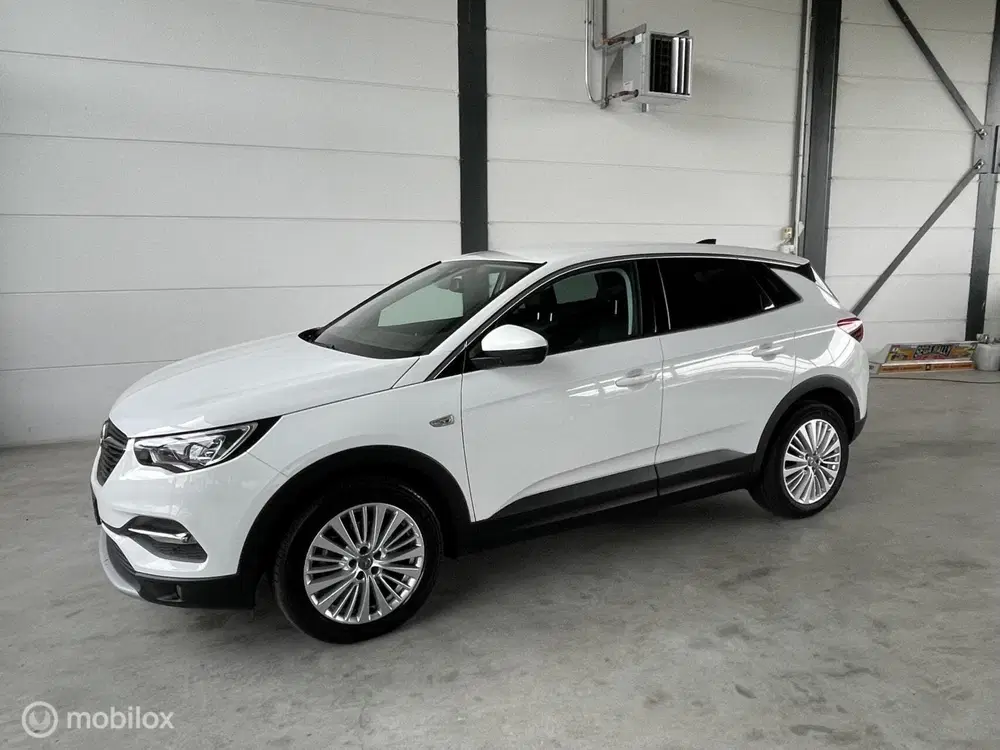Opel Grandland X 1.2 Turbo Business Edition autom. uit 2020, foto 2