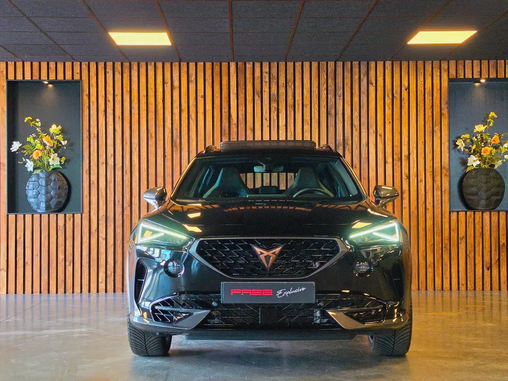 Cupra Formentor 2.0 TSI 4DRIVE l Beats l Trekhaak l Pano l V uit 2021, foto 8