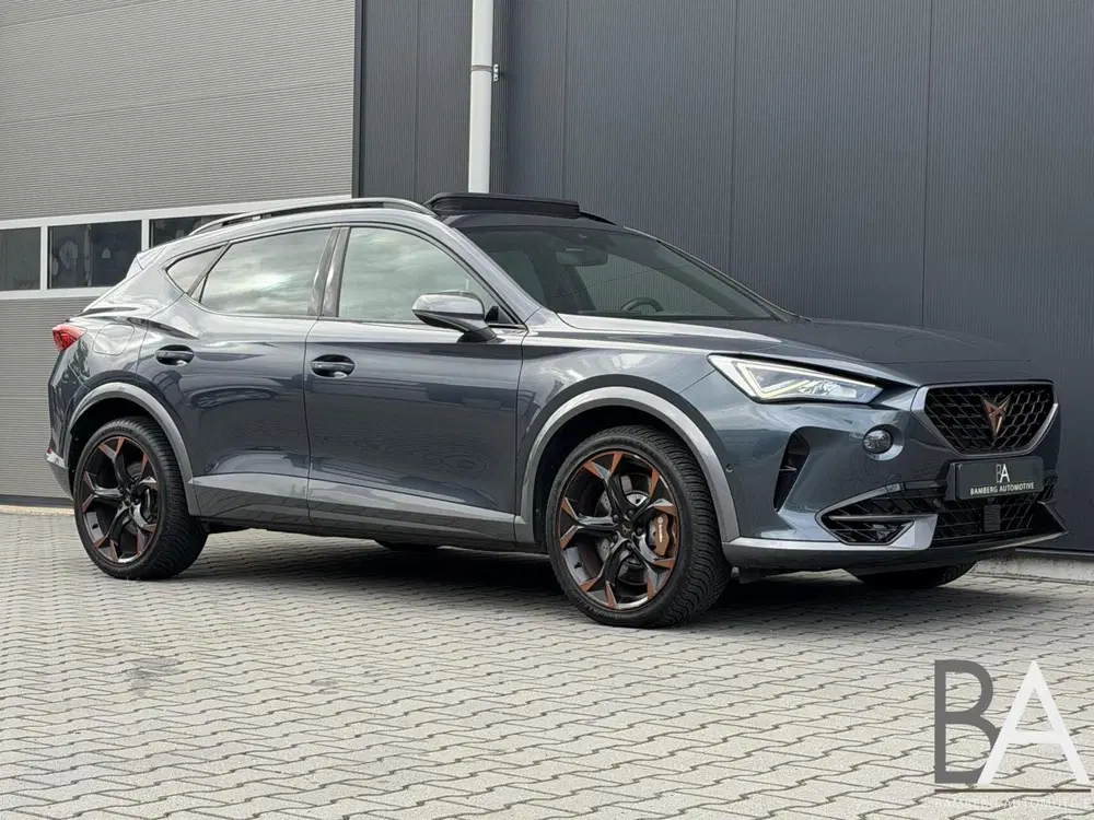 Cupra Formentor 2.0 TSI uit 2022, foto 3