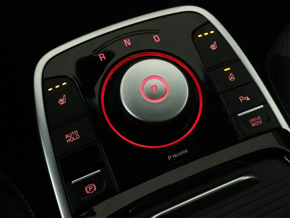 Kia Niro DynamicPlusLine 64 kWh uit 2022, foto 14