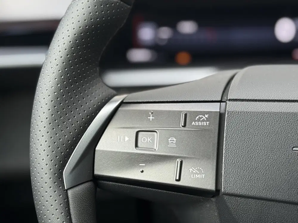 Opel Grandland 1.2 Turbo Hybrid GS l Focal l HUD l Panora uit 2025, foto 8