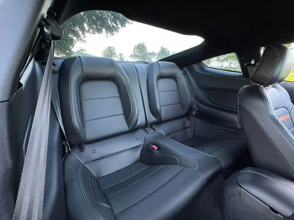 Ford V8 5.0 V8 Mach-1, 460PK EU-AUTO DEA uit 2021, foto 9